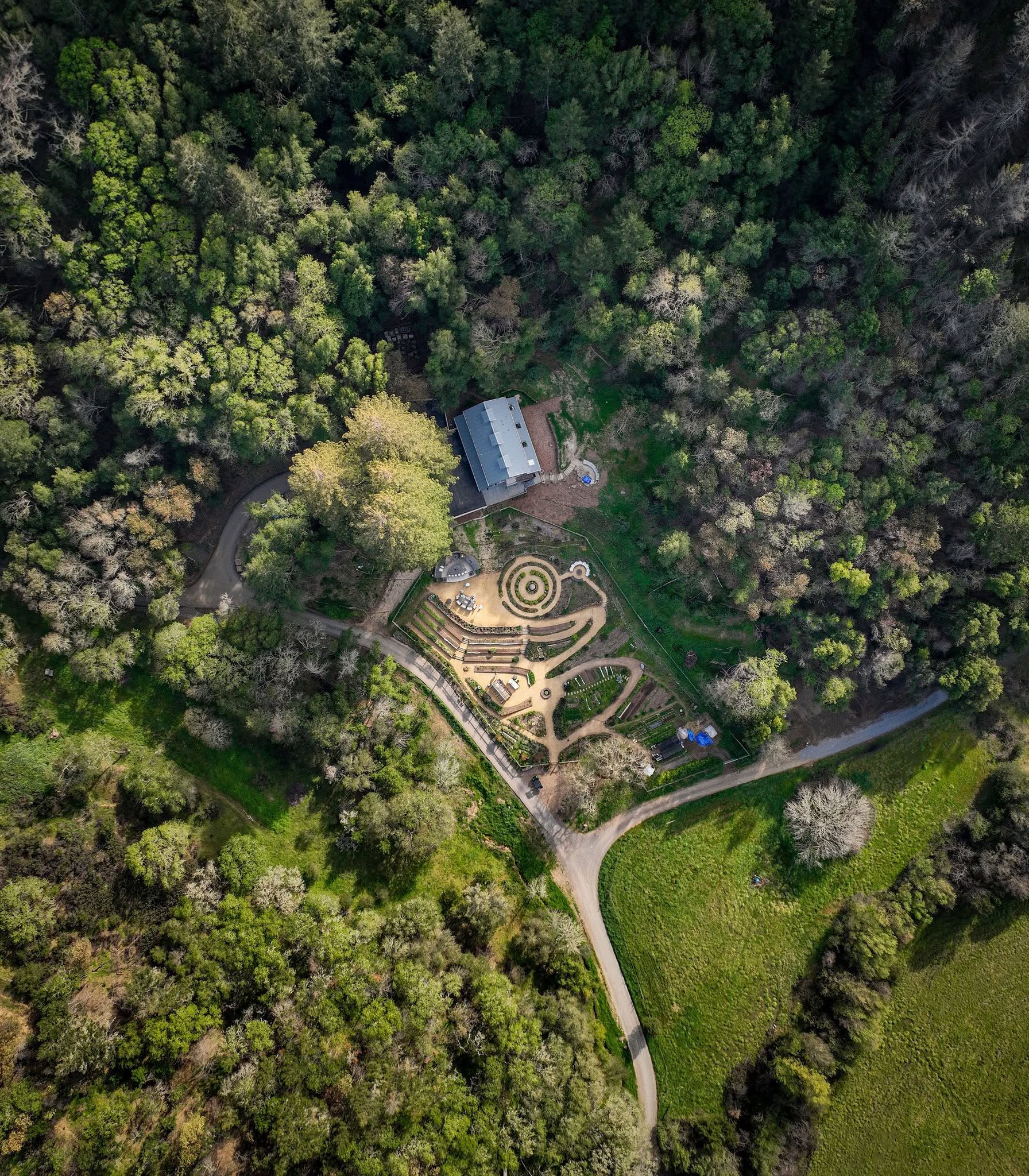 Aerial view of terraced garden paths around a wooded home